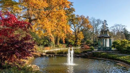 The Water Garden in Winter at Cliveden, Buckinghamshire.